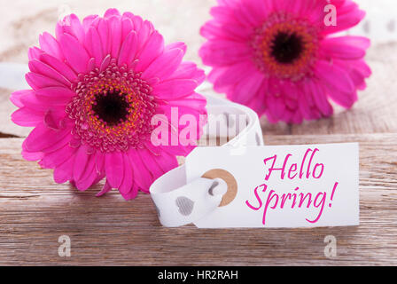 Etikett mit Englisch Text Hallo Frühling. Rosa Frühling Gerbera Blüte. Vintage, Rutic oder Alter Holz Hintergrund. Karte für Frühjahr Grüße. Stockfoto