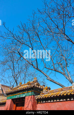 Entblößten Bäume in verbotene Stadt Stockfoto