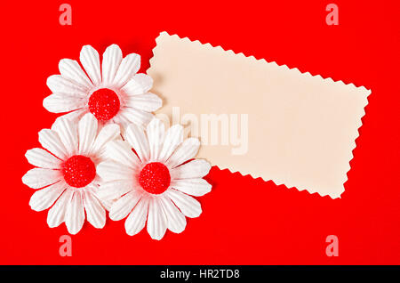 Leeres Papierkarte mit White Daisy Blume auf rotem Grund. Bereit für Ihren Text oder Ihre Nachricht. Stockfoto
