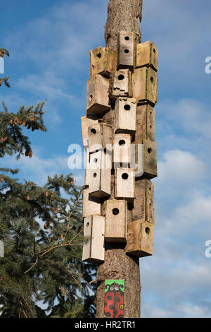 Zahlreiche Vogelhäuser, angeschlossen an einen Baum, Vancouver British Columbia Stockfoto