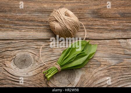 Bärlauch (Bär Knoblauch) Bündel gebunden mit Seil auf alten hölzernen Hintergrund Stockfoto