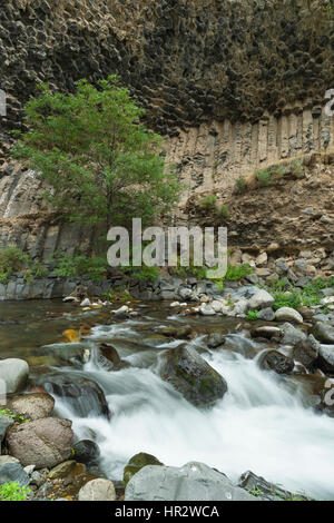 Symphonie von Steinen, Spalten Basaltformation Garni Schlucht, Kotayk Provinz, Armenien, Kaukasus, Naher Osten, Asien Stockfoto