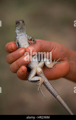 Indianer in der Amazone, Brasilien Stockfoto