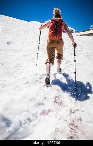 Eine Frau, Wandern auf dem Burroughs Bergweg in Mount Rainier Nationalpark, Washington, USA. Stockfoto