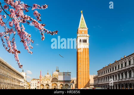 Venedig, Piazza San Marko Stockfoto