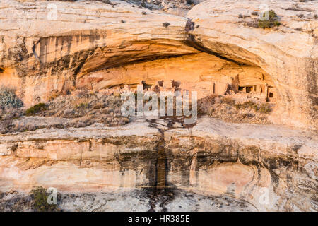 Die wichtigsten Nische des Klippenwohnungen in den Butler Wash Ruinen in Comb Ridge im neuen Bären Ohren National Monument im südöstlichen Utah. Stockfoto