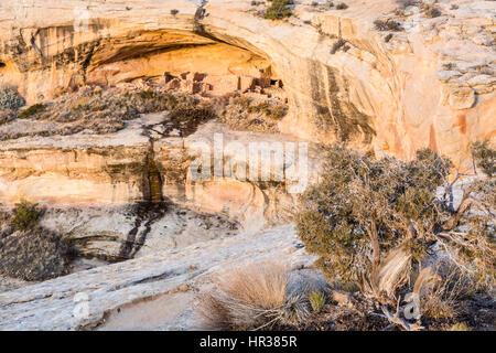 Morgenlicht auf den Klippenwohnungen in den Butler Wash Ruinen in Comb Ridge im neuen Bären Ohren National Monument im südöstlichen Utah. Stockfoto