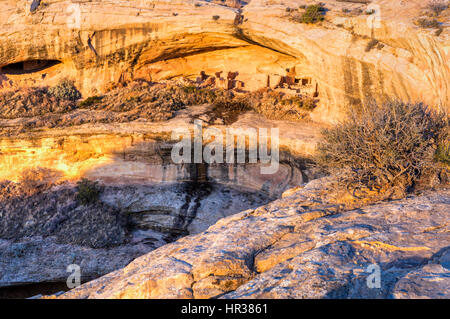 Morgenlicht auf den Klippenwohnungen in den Butler Wash Ruinen in Comb Ridge im neuen Bären Ohren National Monument im südöstlichen Utah. Stockfoto