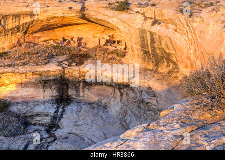 Morgenlicht auf den Klippenwohnungen in den Butler Wash Ruinen in Comb Ridge im neuen Bären Ohren National Monument im südöstlichen Utah. Stockfoto