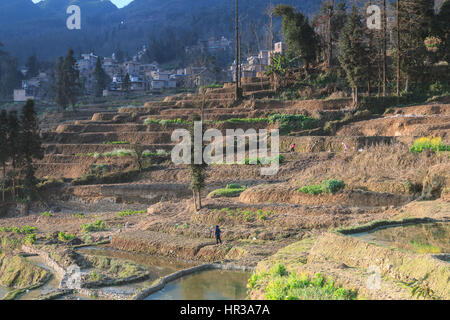 Reisterrassen von YuanYang in Yunnan, China, eines der jüngsten UNESCO-Welterbestätten Stockfoto