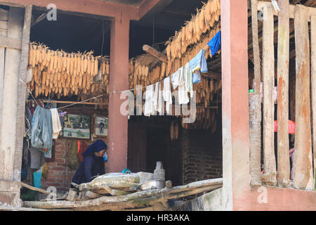 YuanYang, China - 20. Februar 2017: Hani Frau beschäftigt in ihren täglichen Aktivitäten. Hani sind eine der 56 Minderheiten in China und gebürtig aus YuanYang in Stockfoto