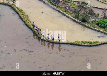 YuanYang, China - 20. Februar 2017: Leute gekleidet mit der typischen Hani Kleidung Tanz zwischen Reis Polsterungen. Hani sind eine der 56 Minderheiten in C Stockfoto