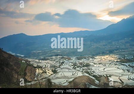 Sonnenaufgang über Reisterrassen von YuanYang in Yunnan, China, eines der jüngsten UNESCO-Welterbestätten Stockfoto