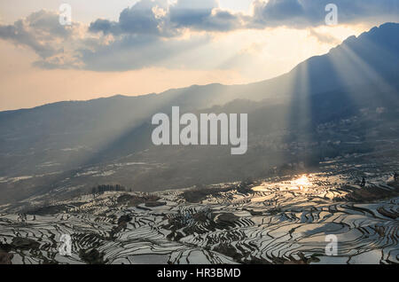 Sonnenaufgang über Reisterrassen von YuanYang in Yunnan, China, eines der jüngsten UNESCO-Welterbestätten Stockfoto