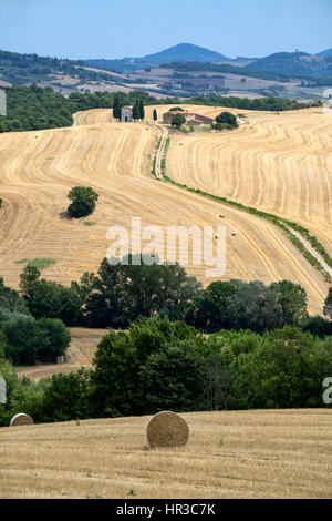 Am malerischen toskanischen Landschaft mit sanften Hügeln und Tälern im goldenen Morgenlicht, Val dOrcia, Italien. Stockfoto