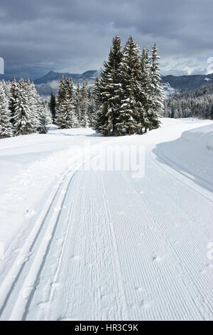 Frisch präparierte leer Langlaufloipe in Französische Alpen Stockfoto