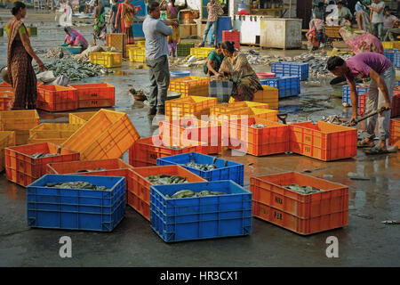 Fisch wird sortiert und verpackt auf dem Kai bereit oder Verkauf auf dem nahe gelegenen Fischmarkt am Hafen von Vanakbara auf Diu Insel im Bundesstaat Gujarat, Indien Stockfoto