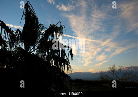 Dawn in Palm Desert, Kalifornien Stockfoto