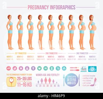 Neun Monate der Schwangerschaft in Fortschritt Abbildung. Schönen Cartoon Stil schwangere Frau. Infografik-Vektor mit Icons und Design-Elemente festlegen. Stock Vektor