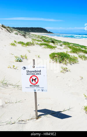 Schild Warnung vor Küstenvögel nisten auf Conjola Strand, Shoalhaven, South Coast, New-South.Wales, NSW, Australien Stockfoto