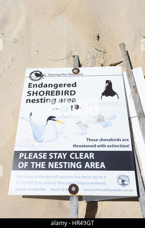 Schild Warnung vor bedrohte Küstenvögel nisten auf Conjola Strand, Shoalhaven, South Coast, New-South.Wales, NSW, Australien Stockfoto