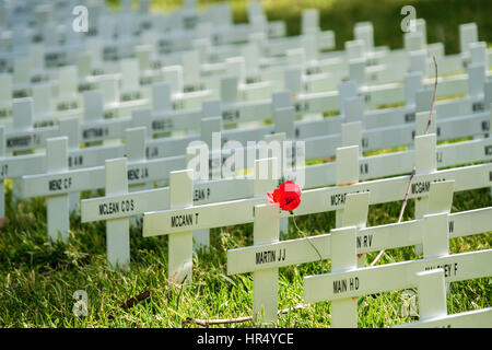 Adelaide, Australien - 11. November 2016: Gedenktag traditionelle Zeremonie in Adelaide, South Australia Stockfoto