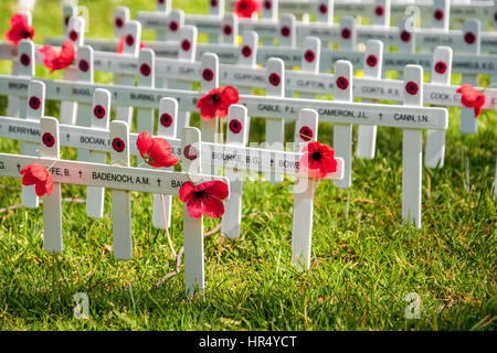 Adelaide, Australien - 11. November 2016: Gedenktag traditionelle Zeremonie in Adelaide, South Australia Stockfoto