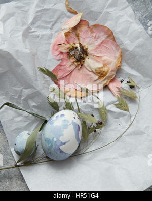 trockene Blume und Hühnereier auf ein zerknittertes Papier Stockfoto