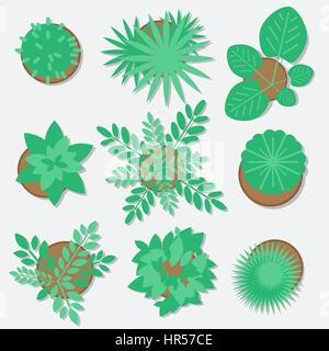 Flache Blume setzen, Pflanzen auf Schreibtisch, Ansicht von oben Stock Vektor