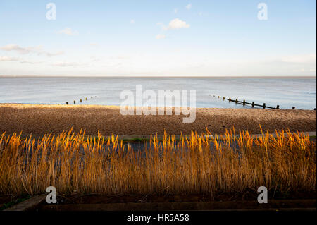 Der Strand von Korn Kent Blick auf die Themse-Mündung Stockfoto