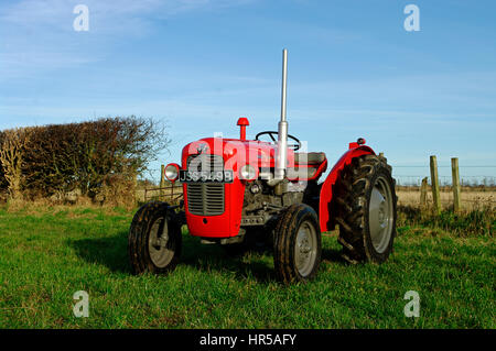 Traktor Massey Ferguson MF35X 1965 Stockfoto