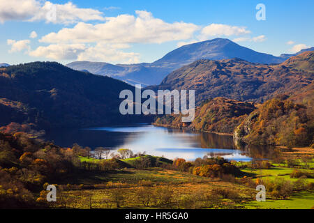 Blick entlang Tal Llyn Gwynant See und Yr Aran in Bergen des Snowdonia National Park im Herbst. Nant Gwynant, Gwynedd, Nordwales, UK, Großbritannien Stockfoto