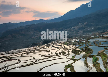 Sonnenaufgang über Reisterrassen von YuanYang in Yunnan, China, eines der jüngsten UNESCO-Welterbestätten Stockfoto