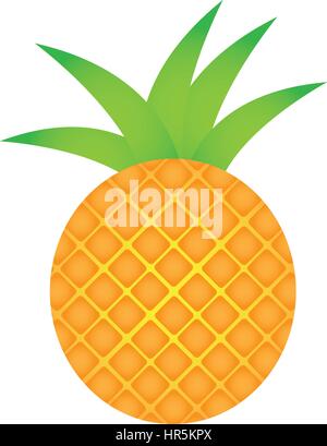 Ananas Frucht Symbol Lager Stock Vektor