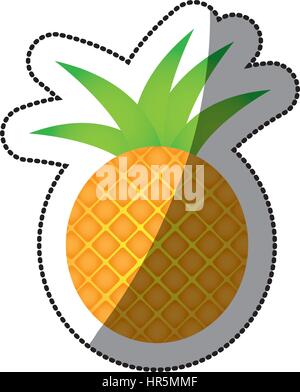 Ananas Frucht Symbol Lager Stock Vektor