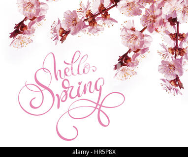 Frühling Blumen Rahmen und Text Hallo Frühling. Kalligraphie-Schriftzug. Stockfoto