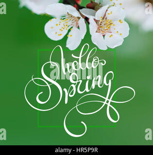 Schöne Filiale einer blühenden Baum Nahaufnahme "und" Text Hallo Feder. Kalligraphie-Schriftzug. Stockfoto