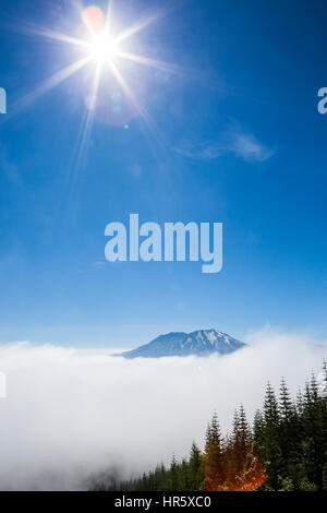 Der Gipfel des Mt. St. Helens schwebt über den Wolken mit Sonne oben. Stockfoto