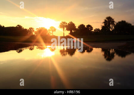 Lichtstreifen über Palmetto Baum Silhouetten auf dem River Course Golfplatz auf Kiawah Island, South Carolina. Stockfoto