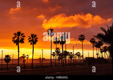 Farbenfroher Sonnenuntergang mit Palmen in Silhouette in Huntington Beach, Kalifornien, USA Stockfoto