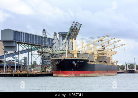 BW-Indigo Bulk Transportschiff im Hafen von Newcastle, new-South.Wales, Australien Stockfoto