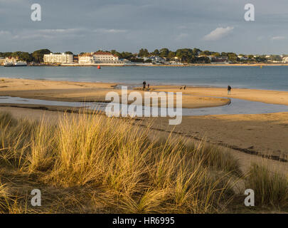 Studland Heath und Shell Bay Beach mit Sandbänken Hintergrund, Poole Bay, Dorset, Großbritannien Stockfoto