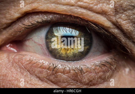 Das Auge eines alten Mannes Stockfoto