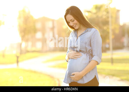 Porträt einer stolz und glücklich schwanger Frau Blick auf ihren Bauch in einem Park bei Sonnenaufgang mit einem warmen Licht im Hintergrund Stockfoto