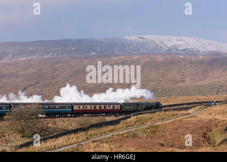 Schnaufend Rauchwolken, bereist Lokomotive, Nr. 60163 Tornado (neue Peppercorn A1 Pazifik) Ribblesdale, vorbei an schneebedeckten Whernside. Stockfoto