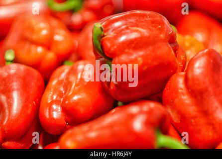 Rote Paprika auf einer Theke im Supermarkt. Eine große Anzahl von Paprika in einem Haufen. Stockfoto