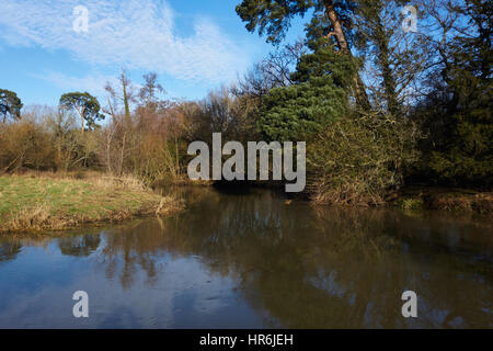 Fluss Wey im Shalford Wasser Meaow in der Nähe von Guildford Surrey UK Stockfoto