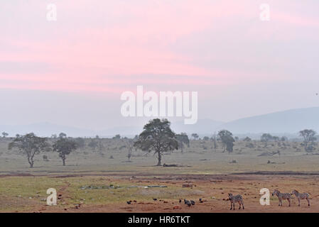 Voi. 22. Februar 2017. Foto aufgenommen am 22. Februar 2017 zeigt den Tsavo West Nationalpark in Morgenglut in der Nähe von Voi, Kenia. Der Kenya Wildlife Service (KWS) führte eine Antenne Volkszählung endete am vergangenen Wochenende auf Elefanten und andere große Säugetiere auf dem 48.656 Quadratkilometer Tsavo-Mkomkazi Ökosystem beiderseits der Grenze Kenia-Tansania, um ihren Schutz inmitten mehrerer Bedrohungen zu verstärken. Bildnachweis: Sun Ruibo/Xinhua/Alamy Live-Nachrichten Stockfoto