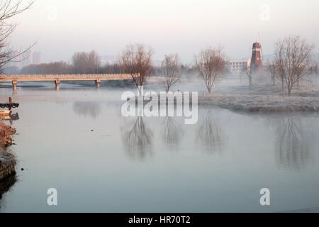 Rongchen, Rongchen, China. 27. Februar 2017. Nebel decken im Wetland Park in Rongcheng, Ost-China Shandong Provinz, 27. Februar 2017. Bildnachweis: SIPA Asien/ZUMA Draht/Alamy Live-Nachrichten Stockfoto