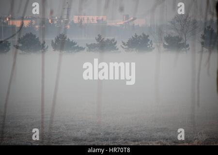 Rongchen, Rongchen, China. 27. Februar 2017. Nebel decken im Wetland Park in Rongcheng, Ost-China Shandong Provinz, 27. Februar 2017. Bildnachweis: SIPA Asien/ZUMA Draht/Alamy Live-Nachrichten Stockfoto